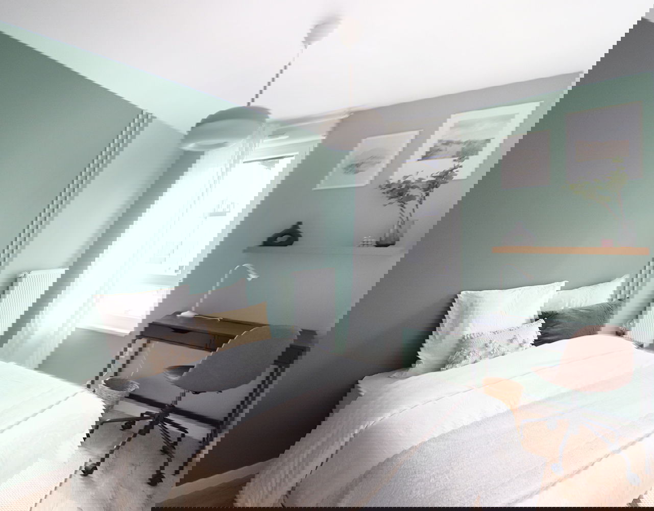 Kolokation Schiltigheim 264900