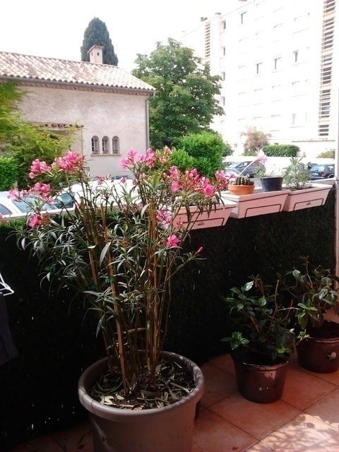 Gastfamilie Montpellier 45109