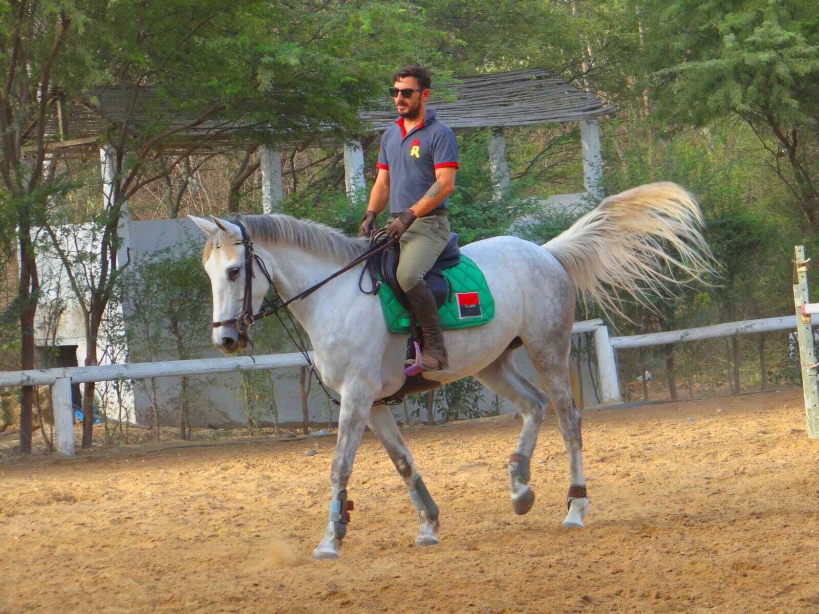 Gastfamilie undefined 241387