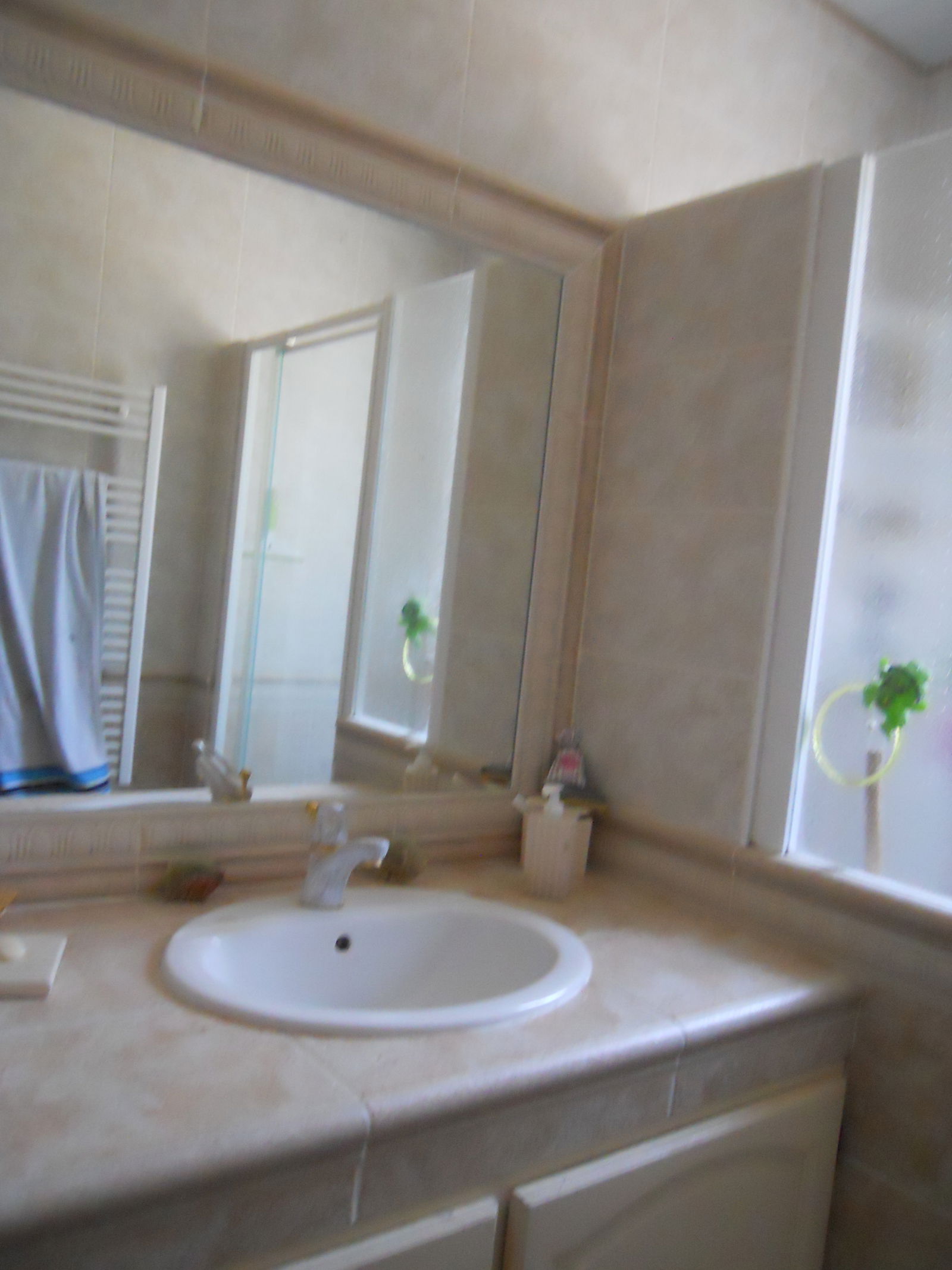 Homestay Tassin-la-Demi-Lune 251766