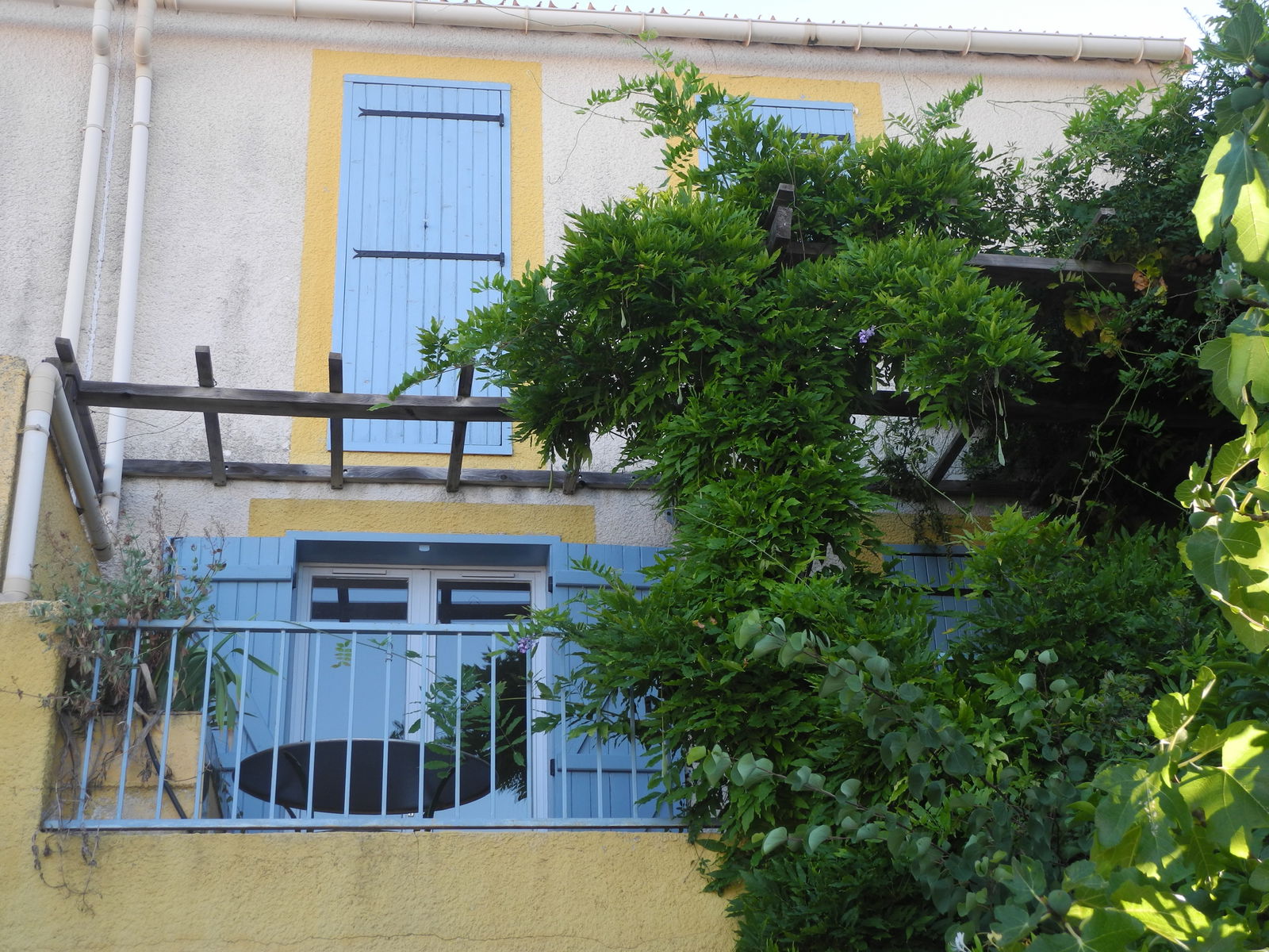 Colocation Montpellier 187640