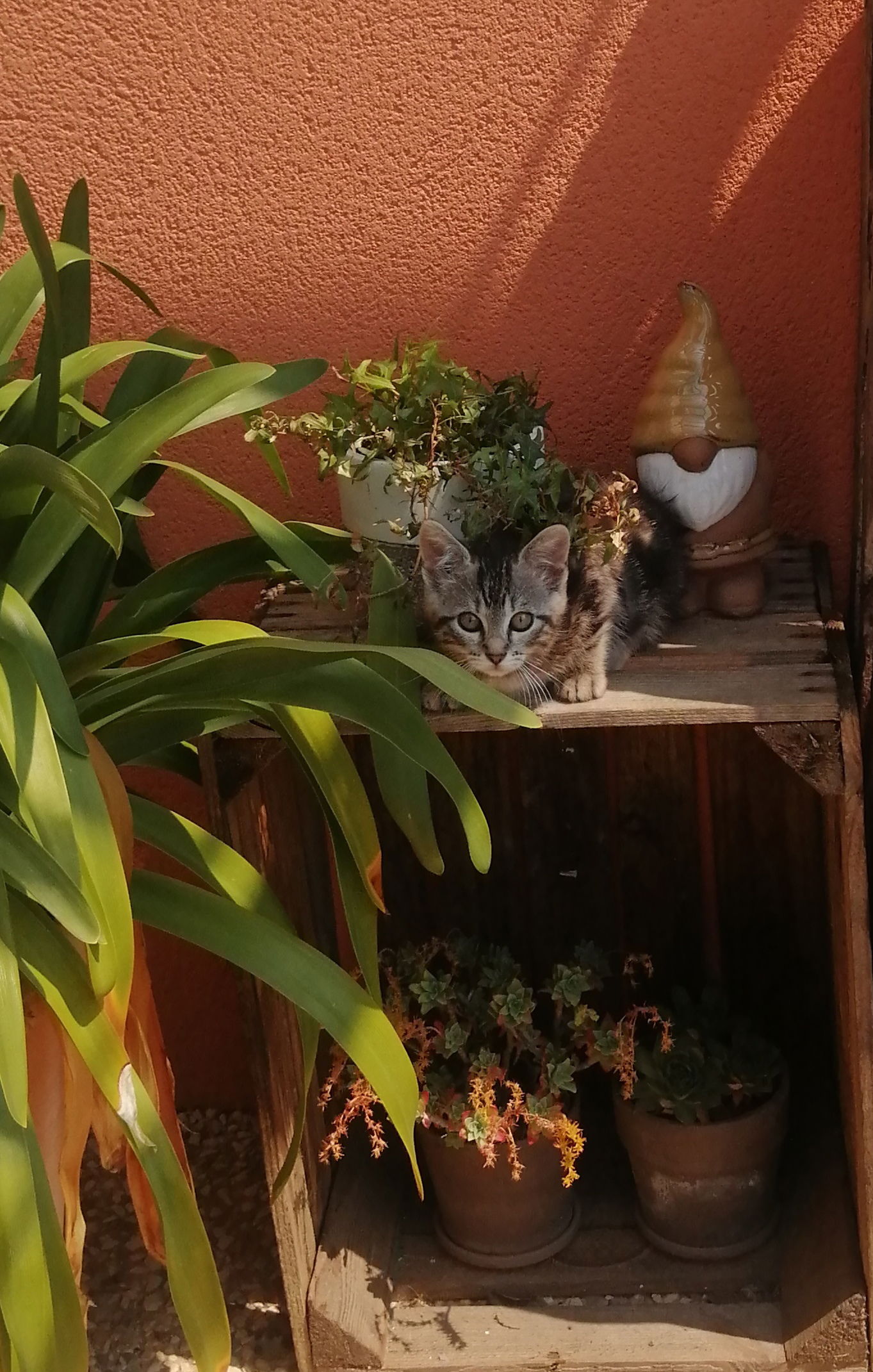 Gastfamilie Puilboreau 253725