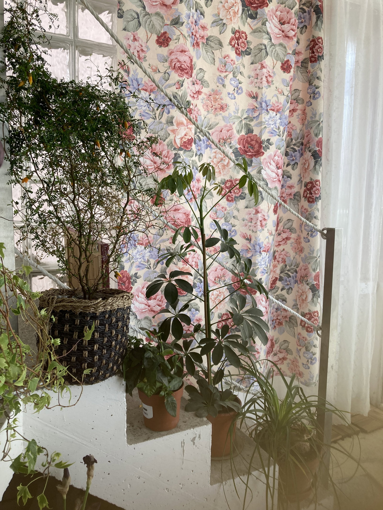 Homestay Saint-Gingolph 377529