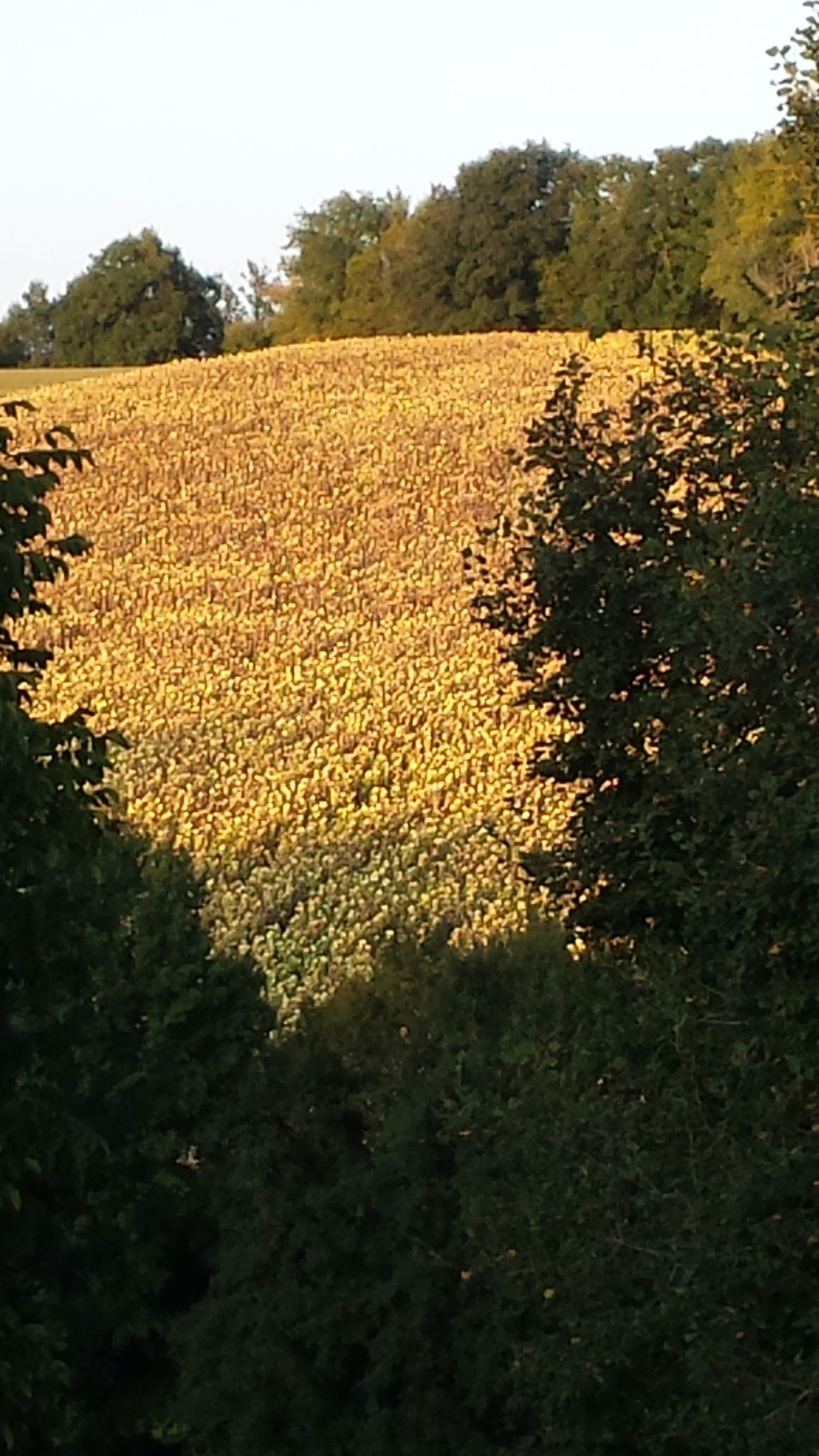 Gastfamilie Bassillac et Auberoche 392991