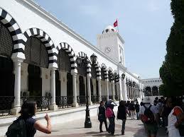 Estudio Independiente Tunis 84742