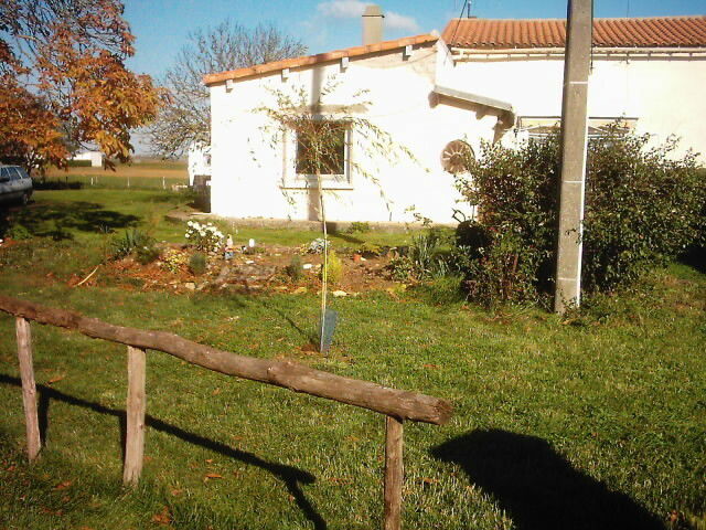 Estudio Independiente DOIX 10359