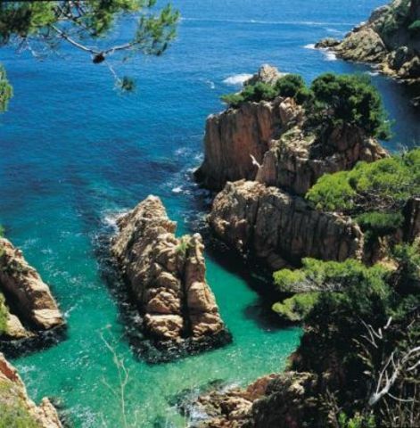 Estudio Independiente Roses 15655