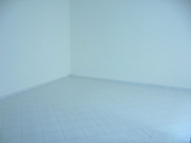 Quedarse En Casa Casablanca 50602