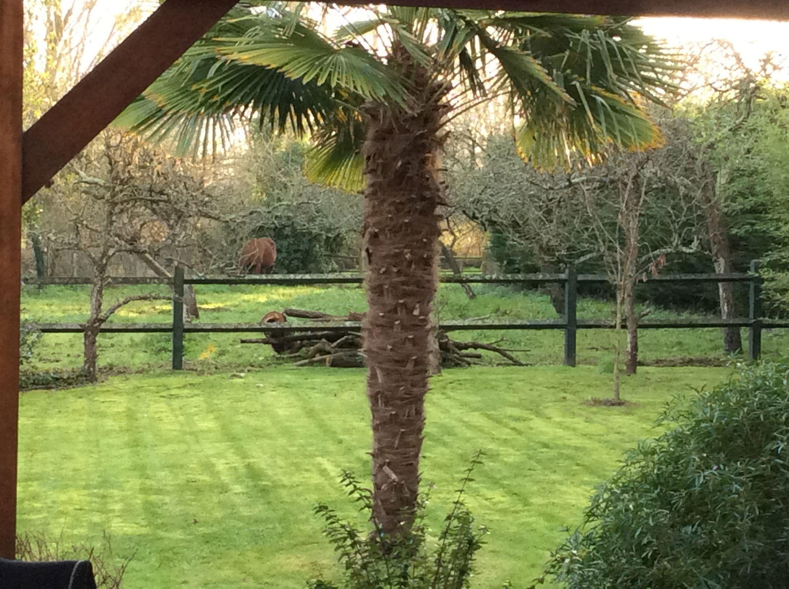 Estudio Independiente Agon-Coutainville 60305