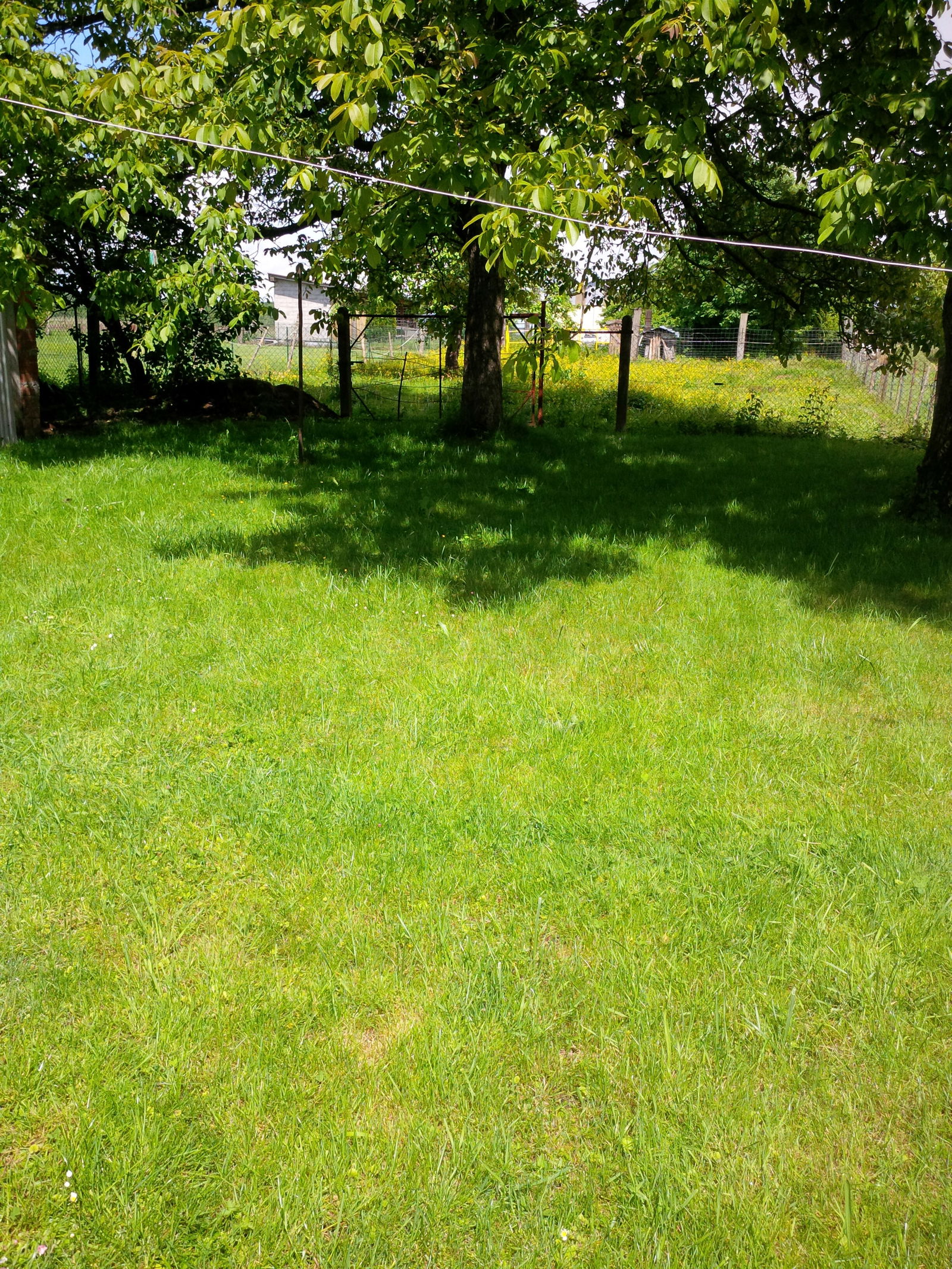 Quedarse En Casa Bust 102338