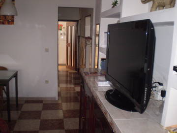 Colocation Sevilla 90513-6