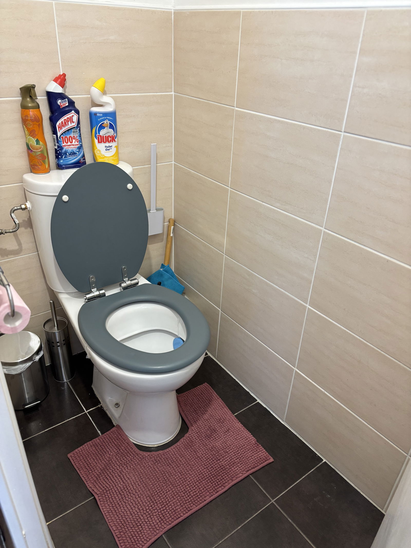 Colocación Ferney-Voltaire 627975