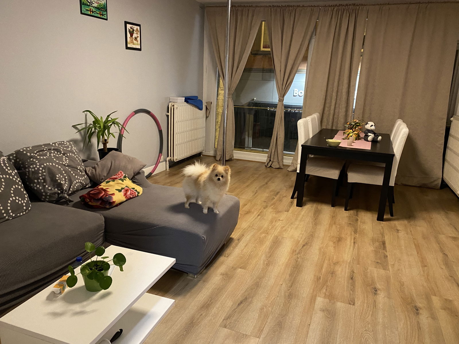 Colocación Braine-l'Alleud 245256