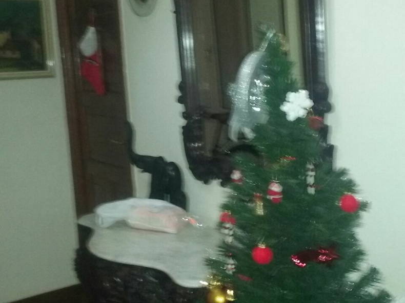 Quedarse En Casa Donostia 156328-4