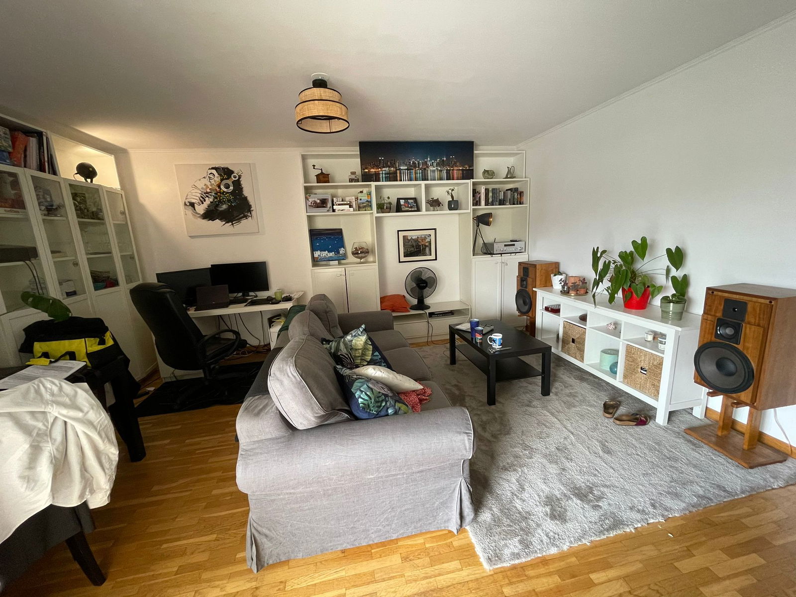 Quedarse En Casa Lyon 298575