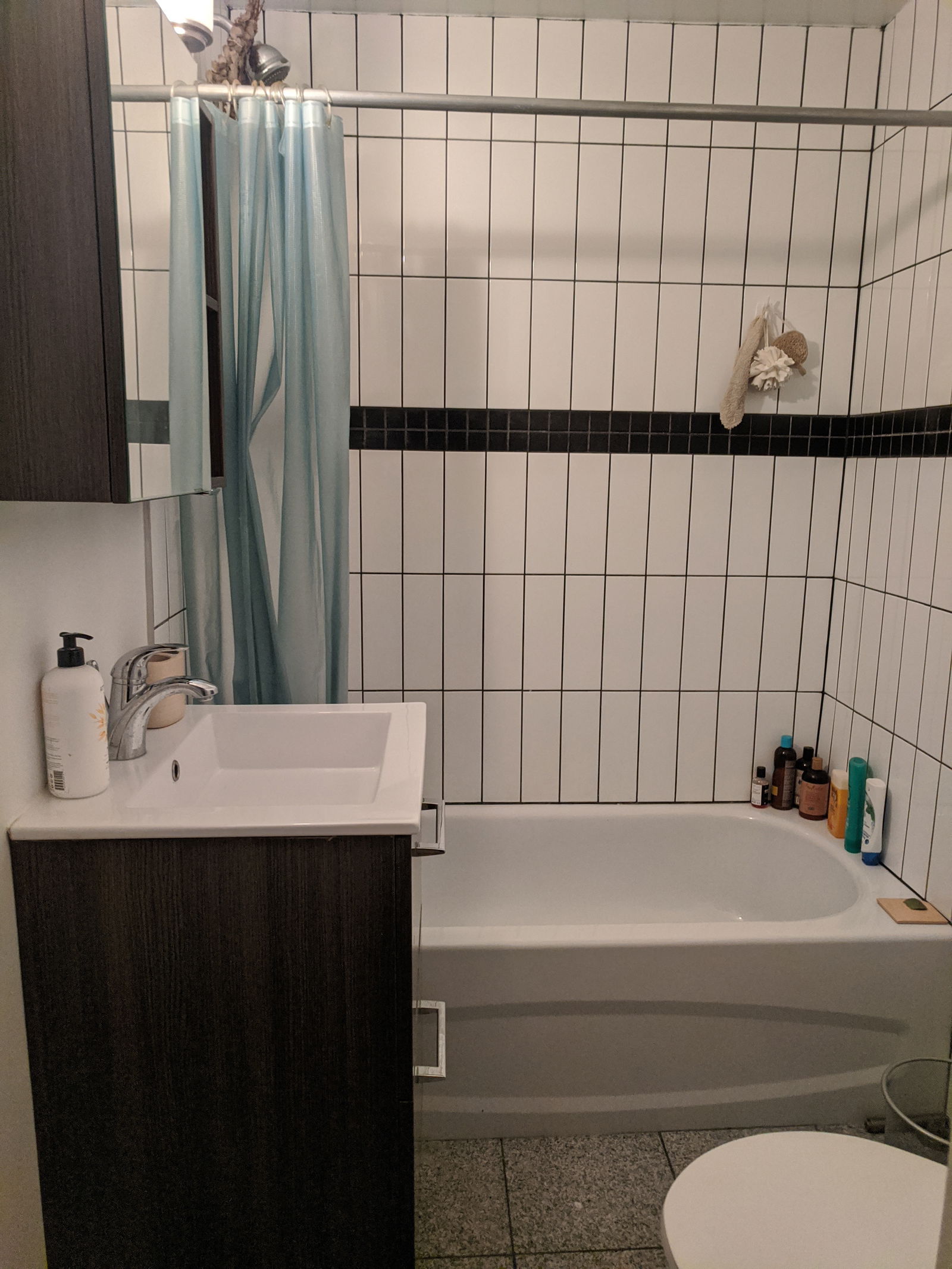 Coliving Montréal 257743
