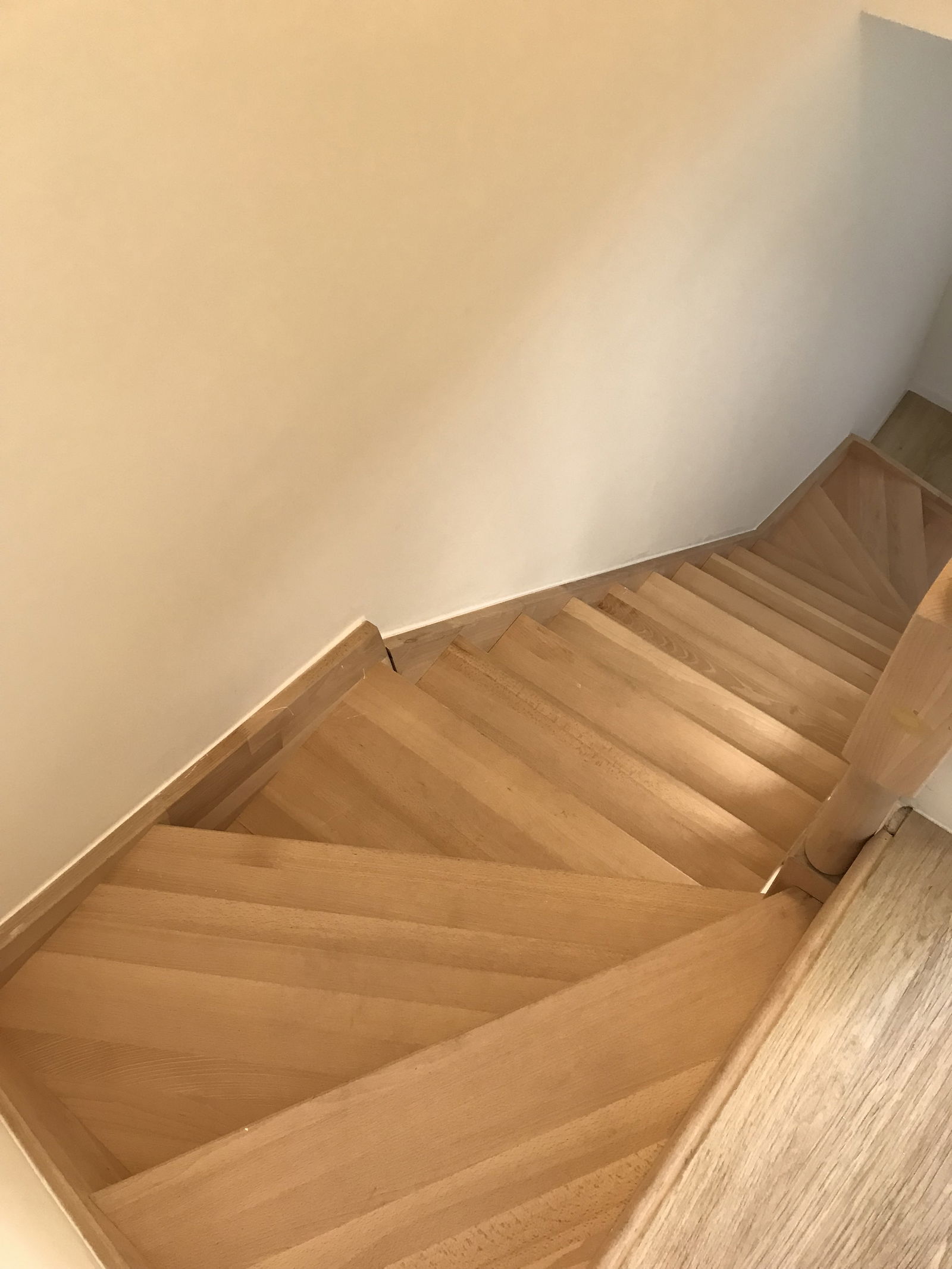 Colocación Charleroi 266359