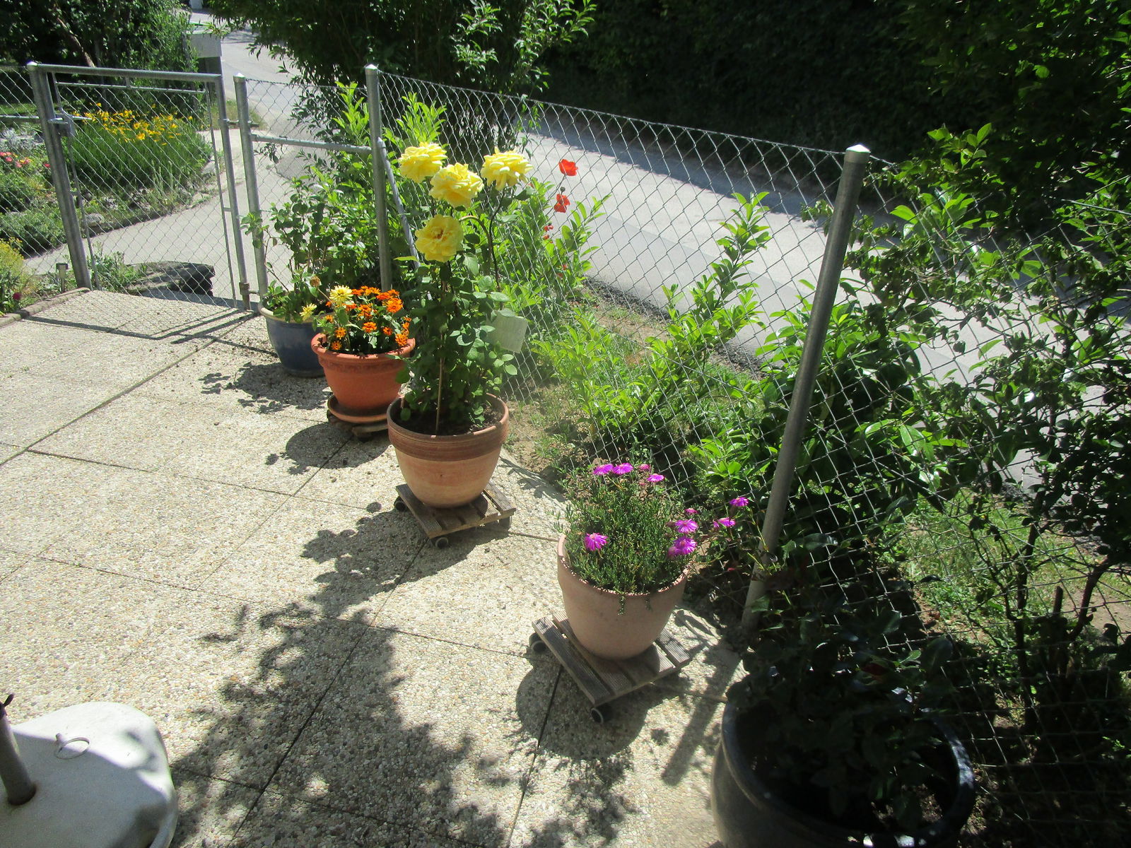 Quedarse En Casa Plan-les-Ouates 253505