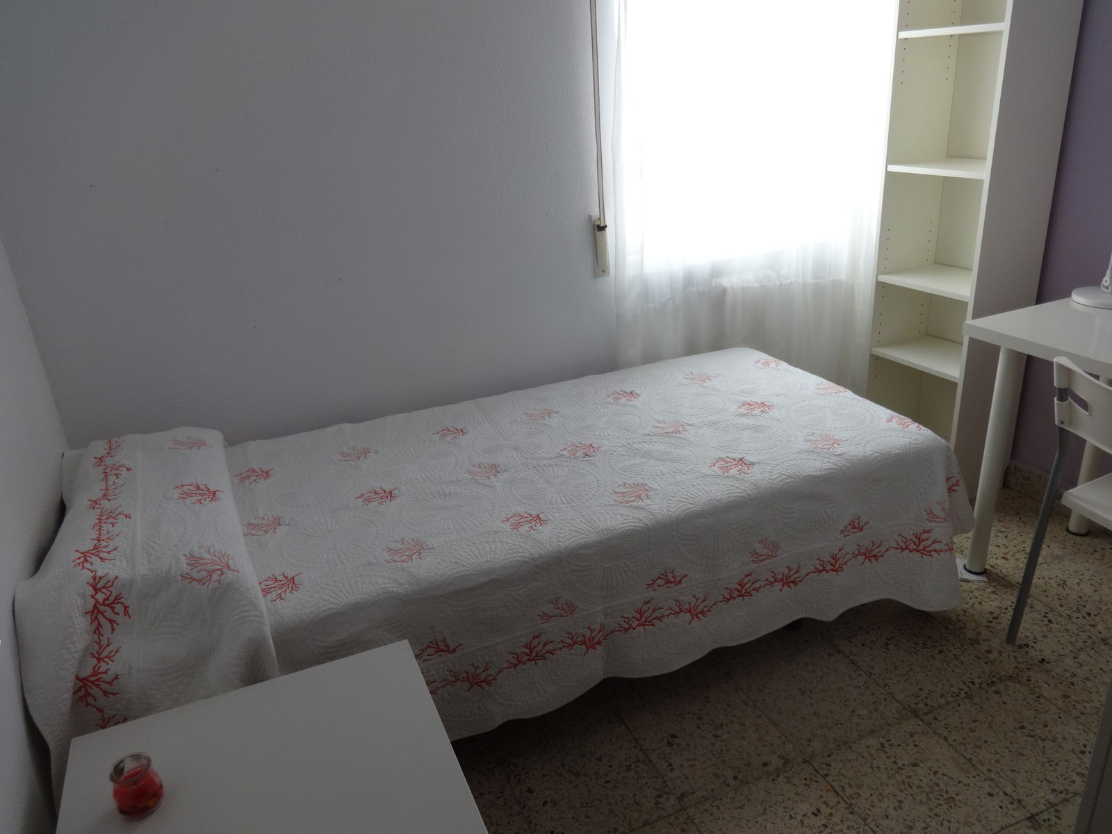 Colocation Salamanca 251008