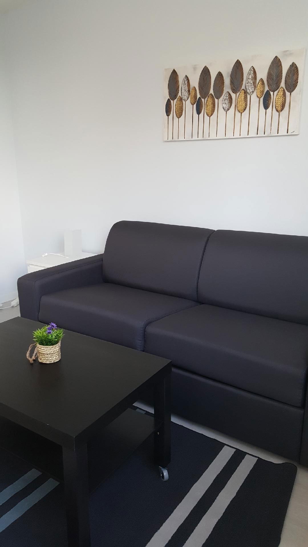 Colocación Saint-Étienne 613847