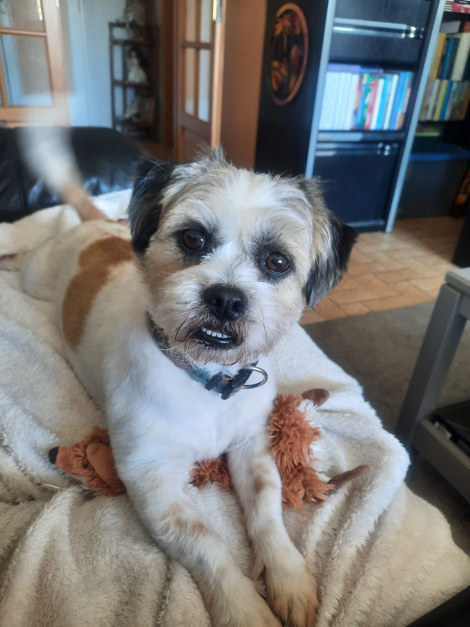 Quedarse En Casa Bouguenais 229186