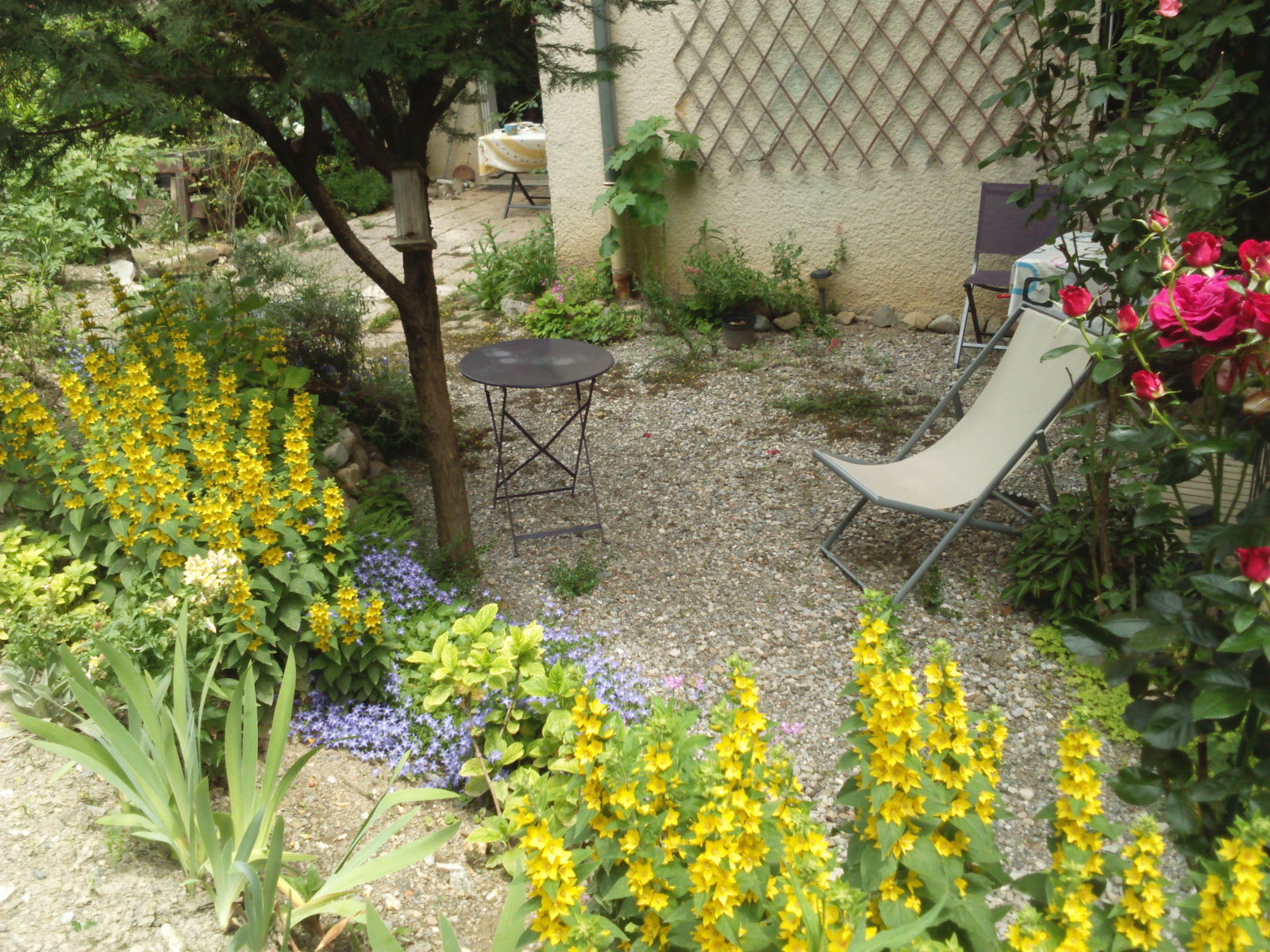 Quedarse En Casa Gap 76464