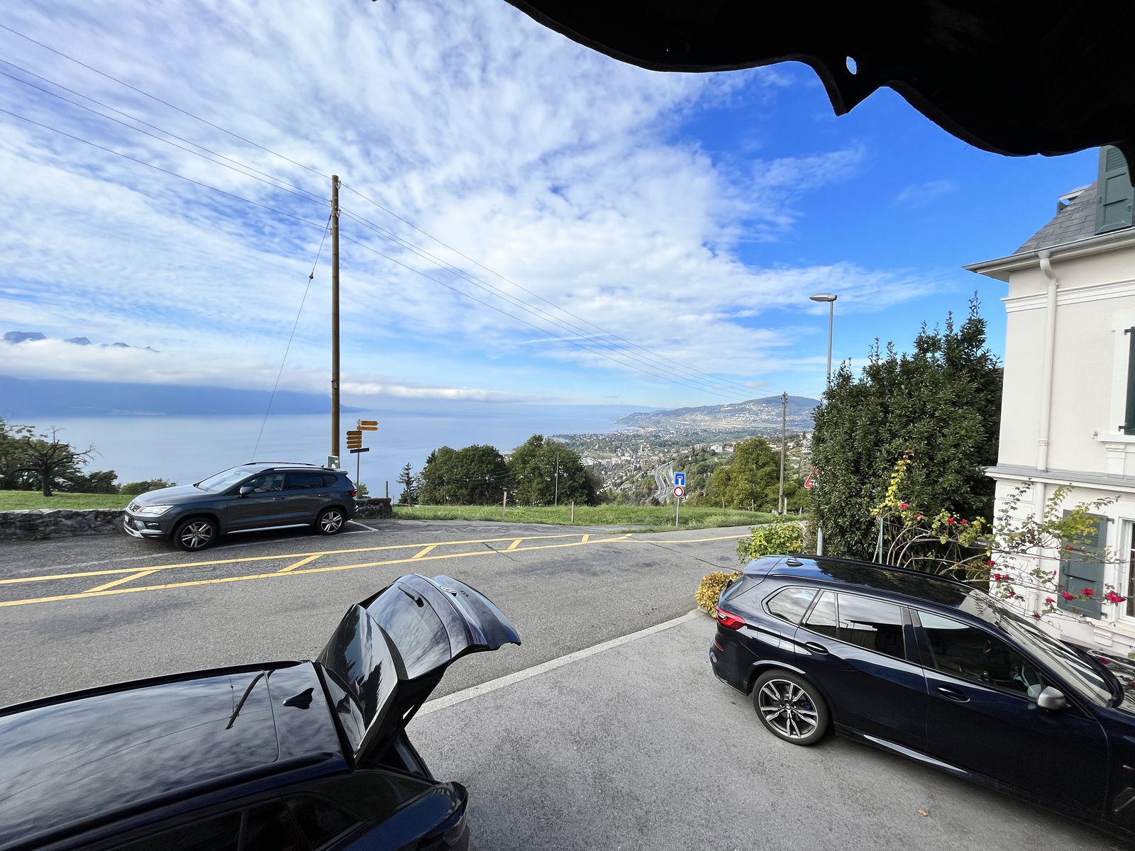 Estudio Independiente Chernex 304445