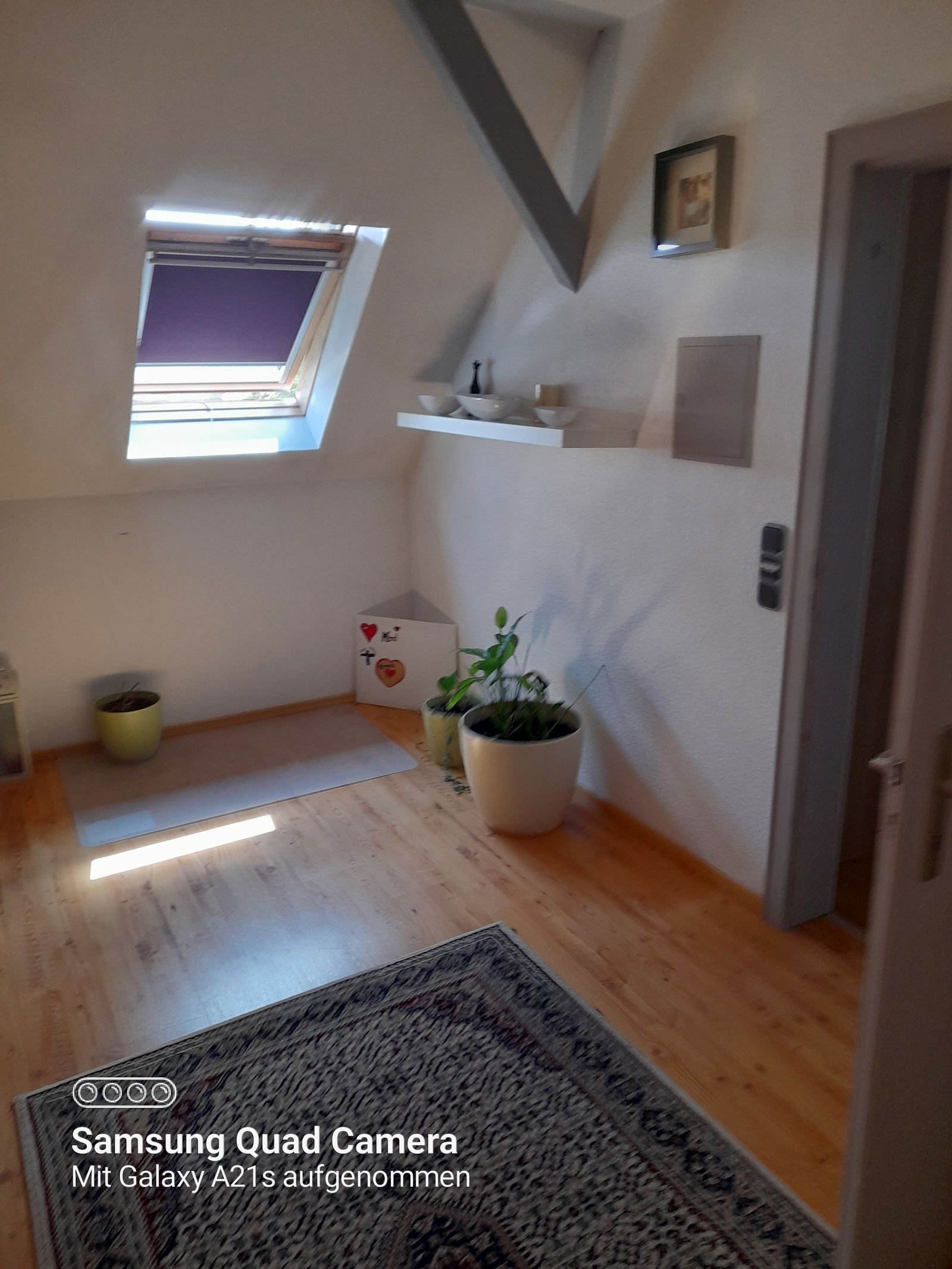 Colocación Kehl 409347