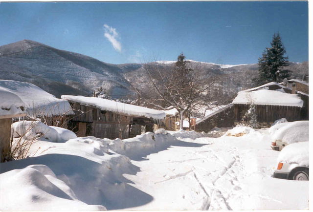 Colocación Le Bosc 59666