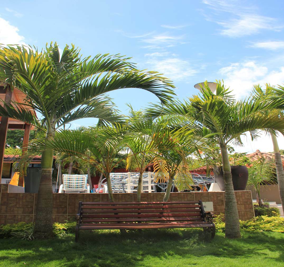 Estudio Independiente Girón 153901