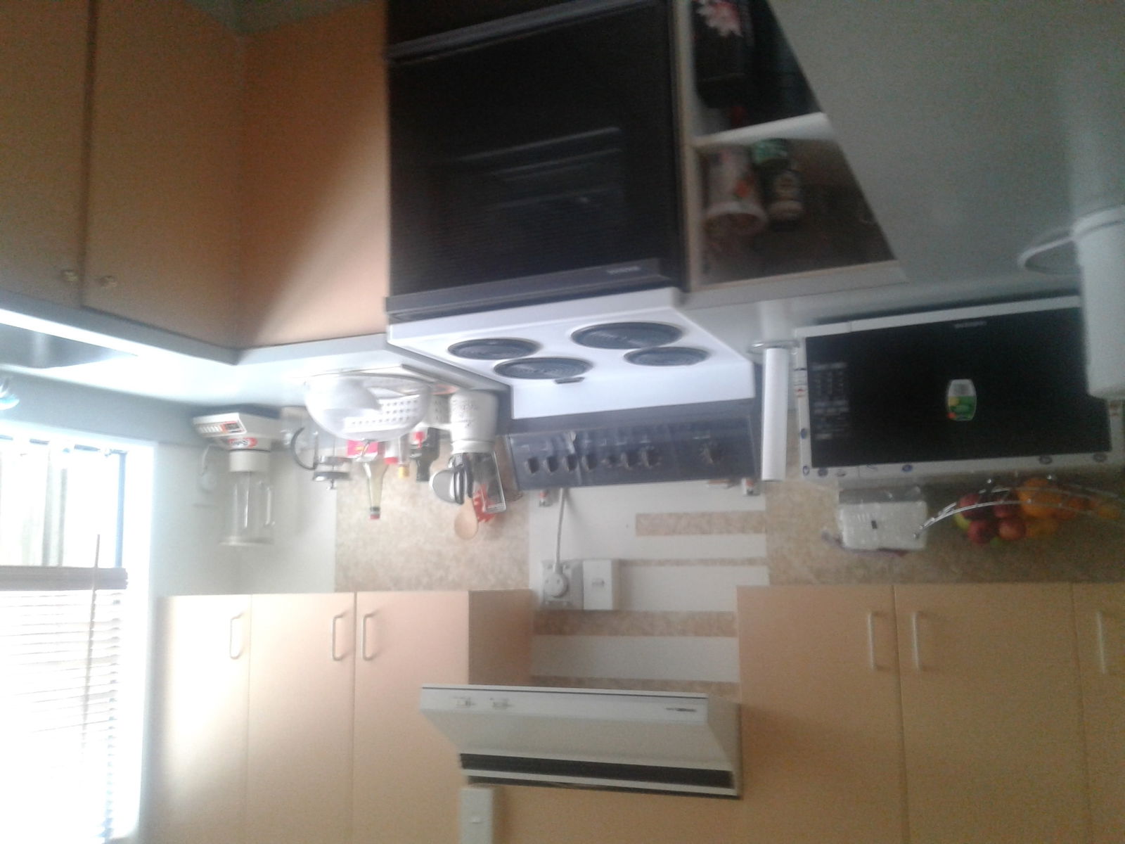 Colocación Lower Hutt 122815