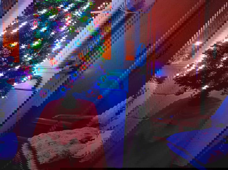 Quedarse En Casa Alacant 474250-1