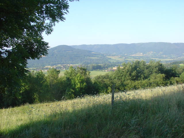 Toda La Casa Rosières 480574-4