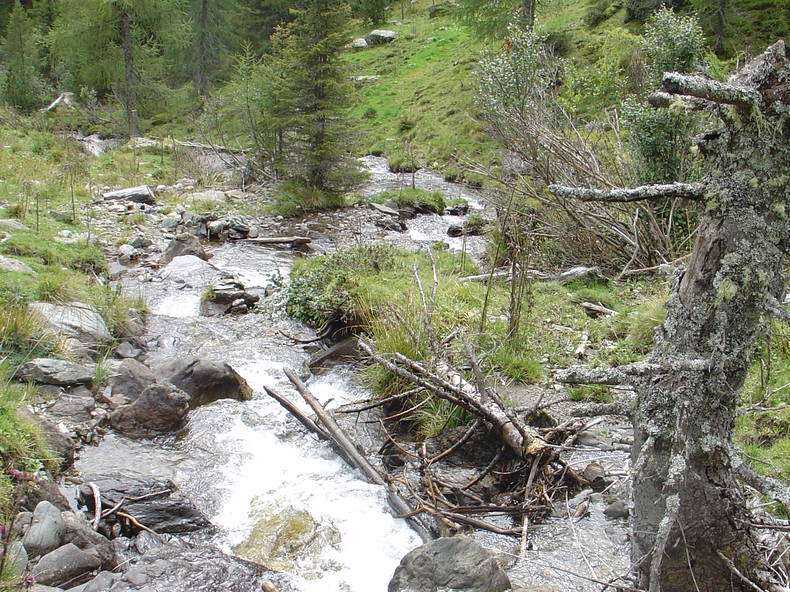 Toda La Casa Rosières 480574-5