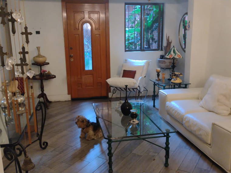 Homestay México D.F. 267119