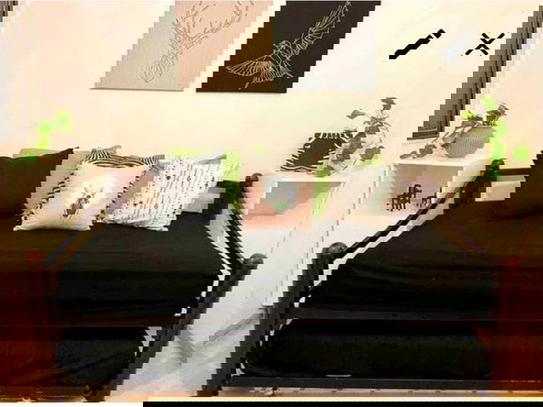 Homestay México D.F. 267119-4