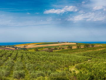 Entire Home Molise 198796-11