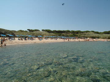 Logement Entier Isola Rossa 157528-6