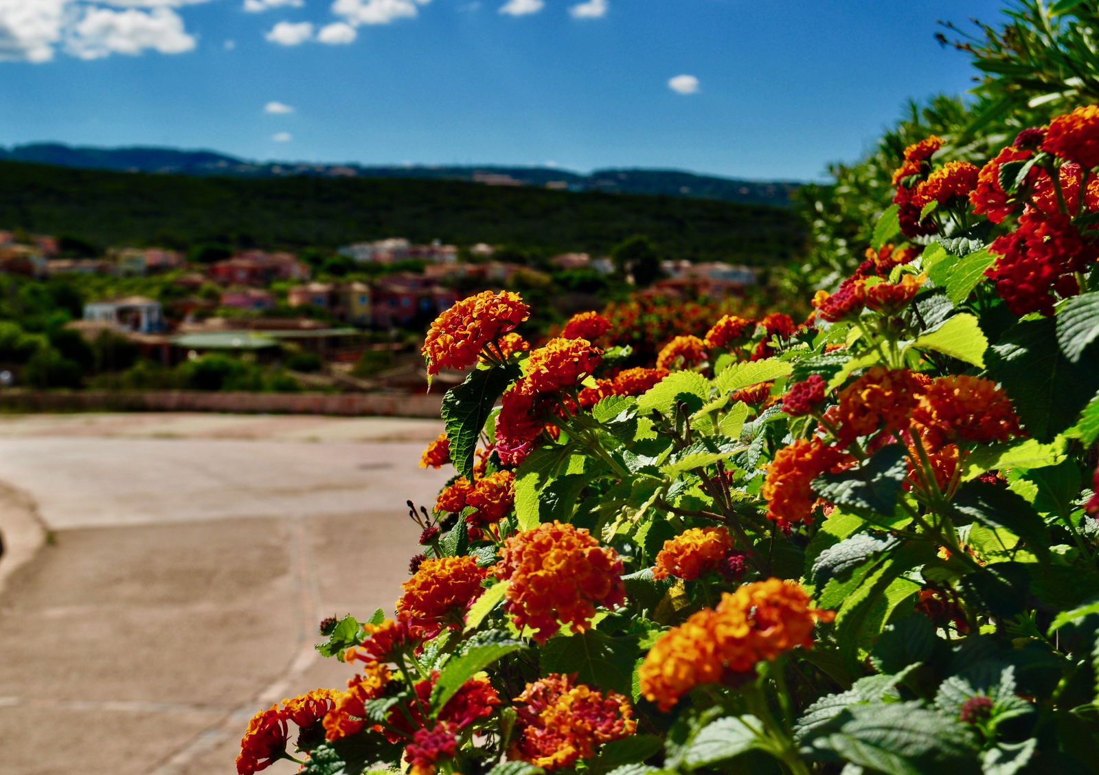 Independent Studio Isola Rossa 157528