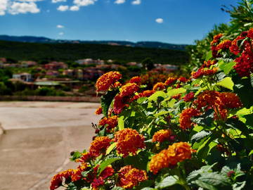 Logement Entier Isola Rossa 157528-10