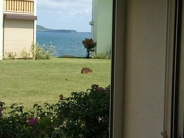 Logement Entier Sainte-Luce 194977-7