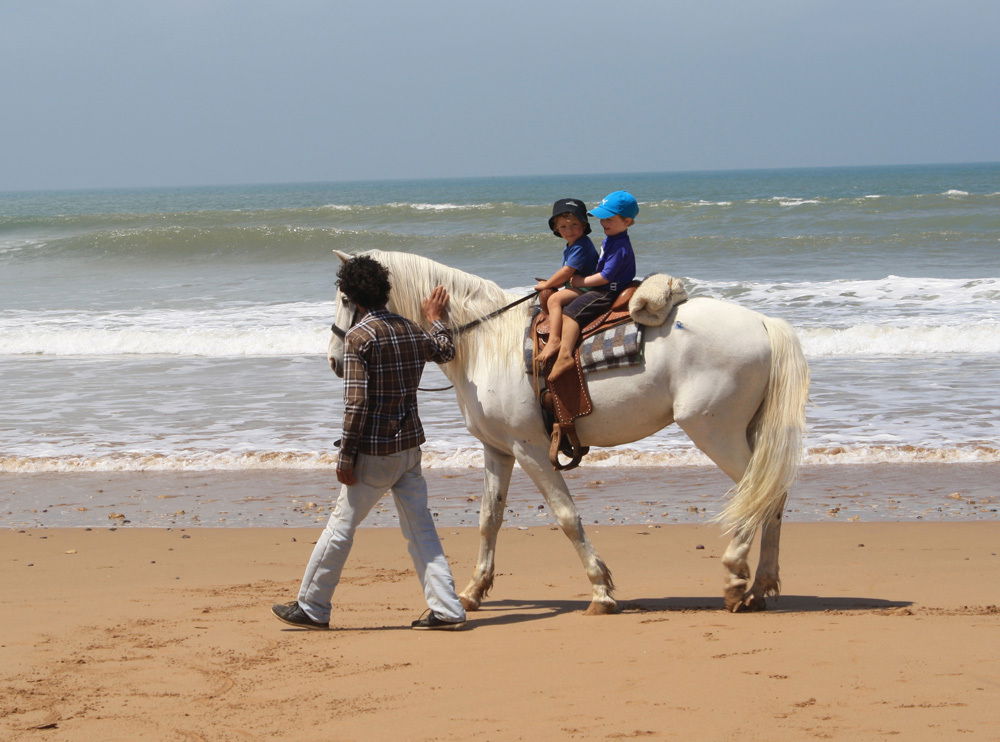Bed And Breakfast Essaouira 134498