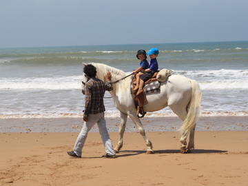 Chambre D'hôte Essaouira 134498-9