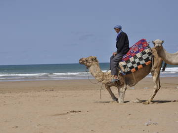 Chambre D'hôte Essaouira 134498-10