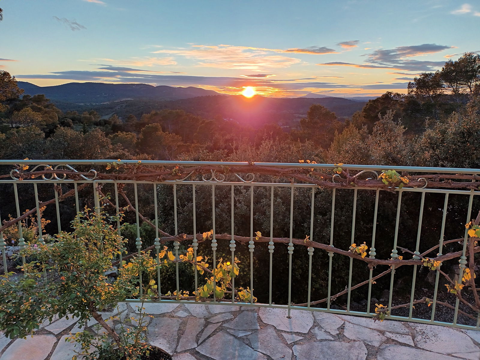 Homestay Vidauban 44992