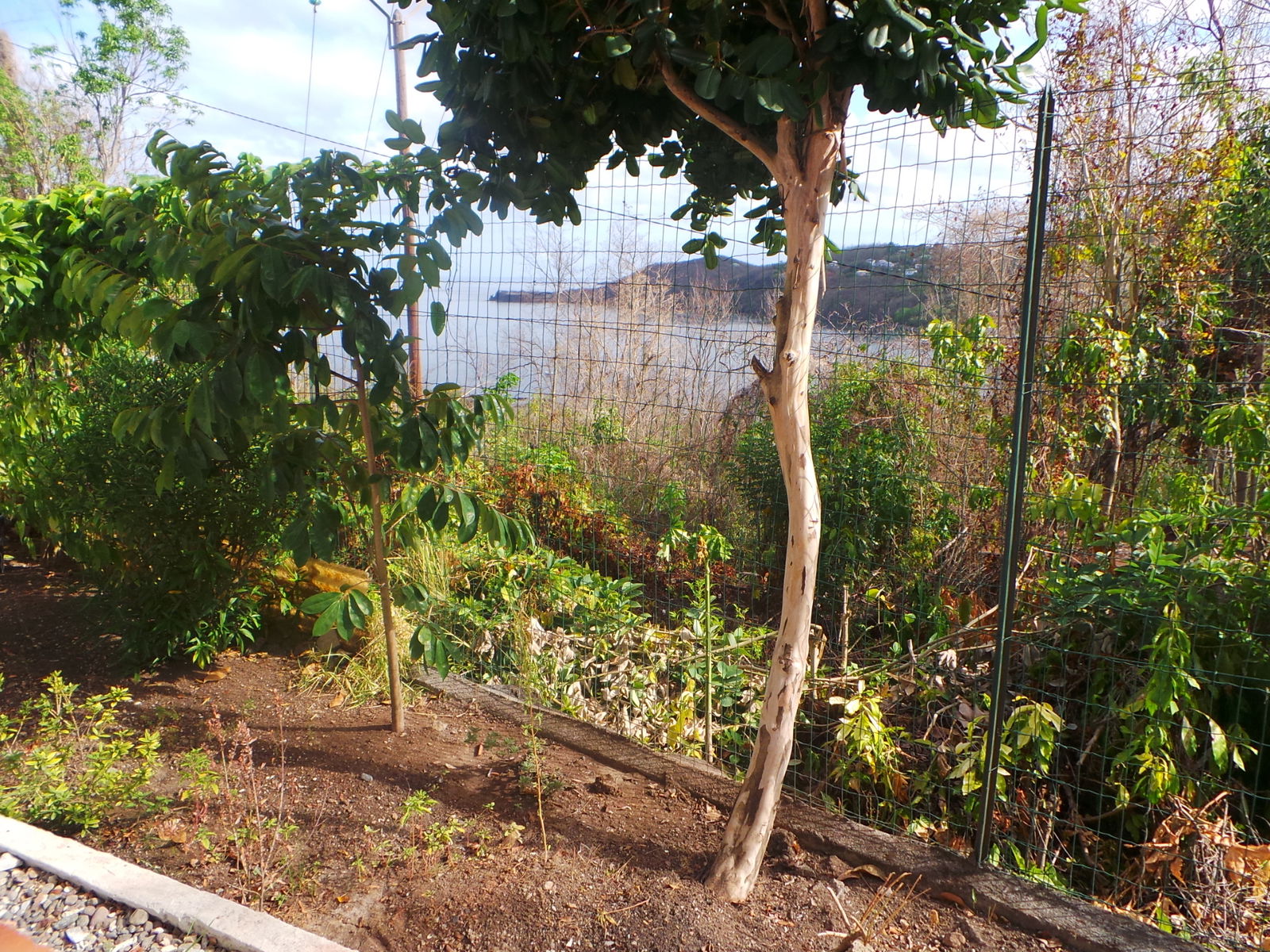 Homestay Bouillante 132944