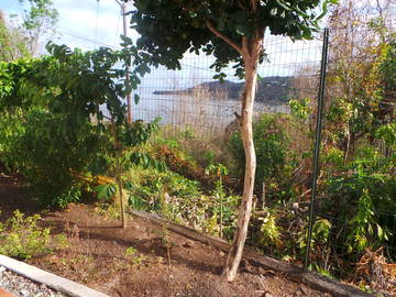 Chambre Chez L'habitant Bouillante 132944-6