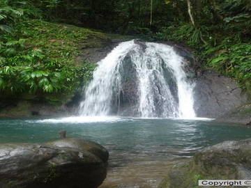 Chambre Chez L'habitant Bouillante 132944-8