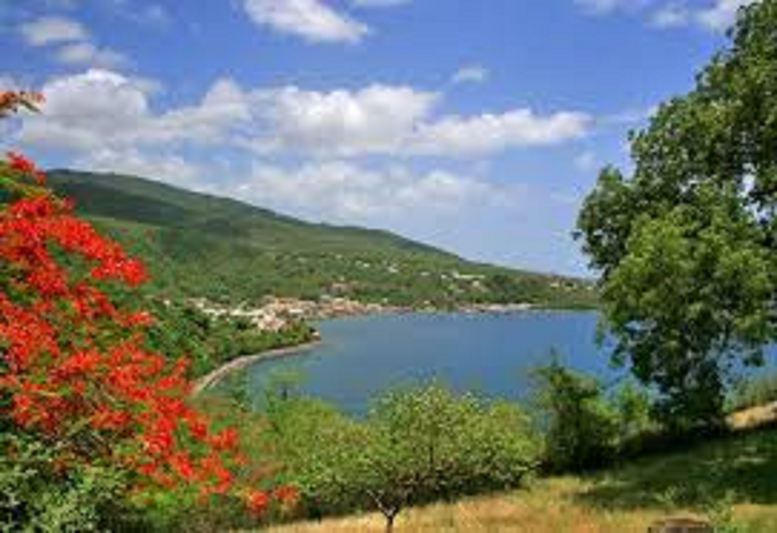 Homestay Bouillante 184537