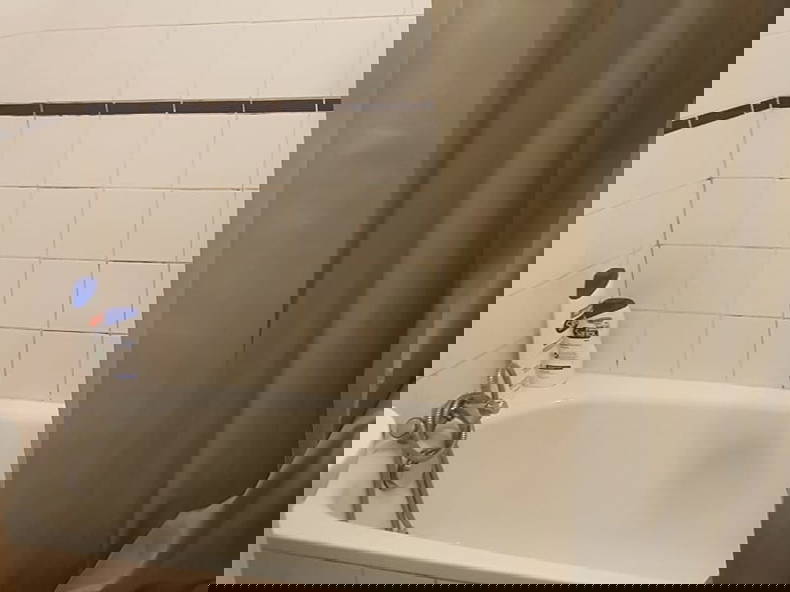 Colocation Saint-Sébastien-sur-Loire 266556-4